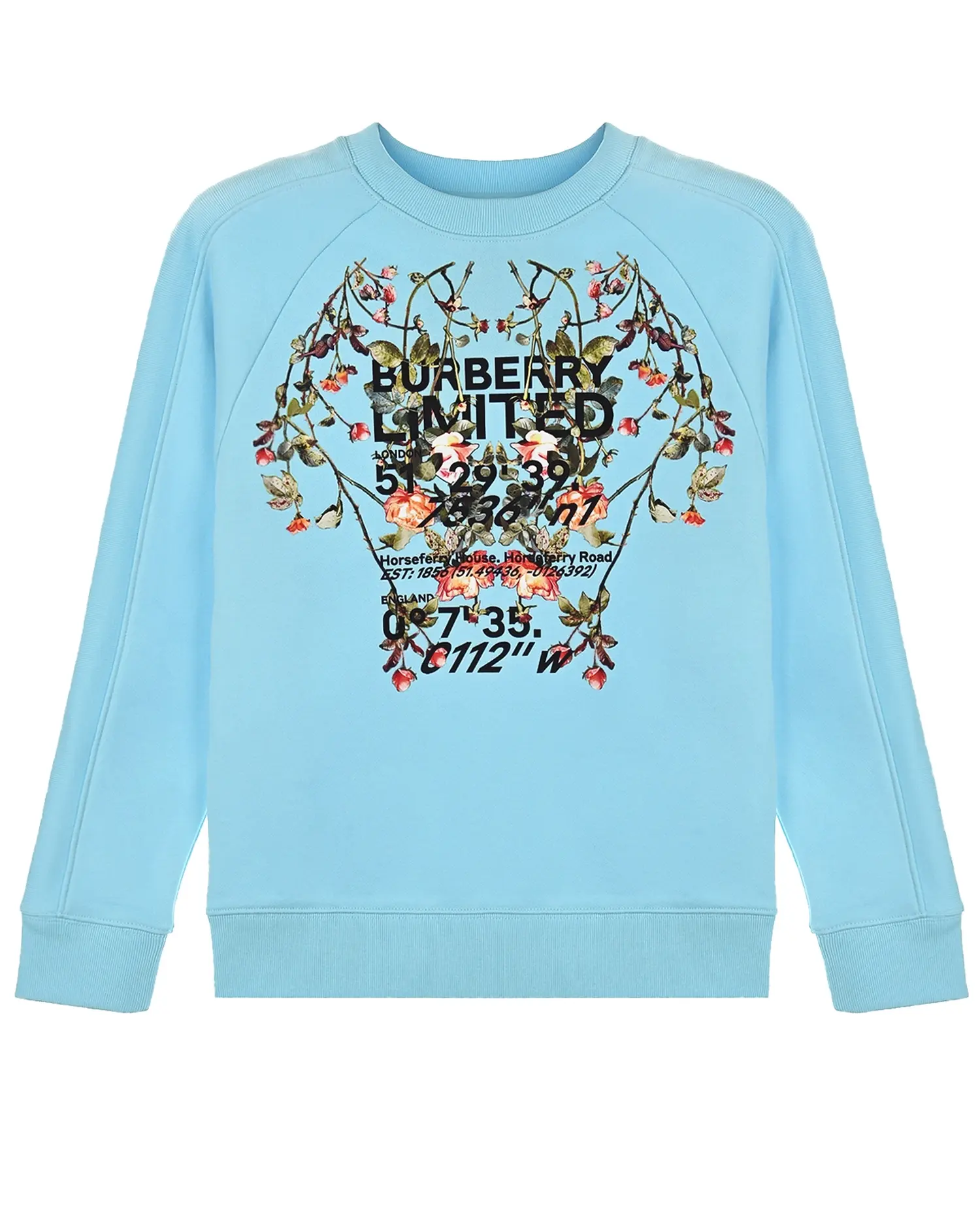 Голубой свитшот с принтом "burberry limited"