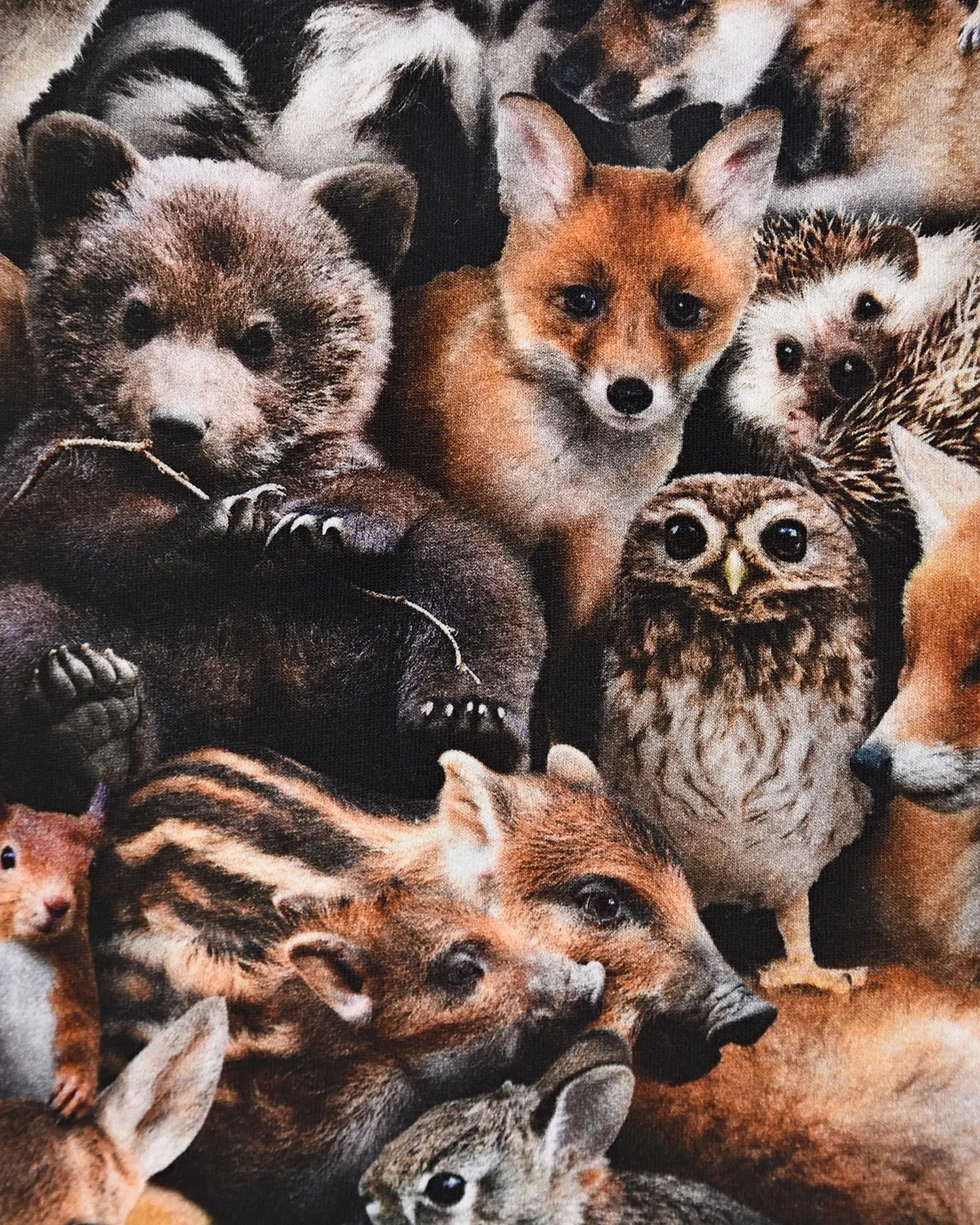 Толстовка Forest Animals - изображение 3
