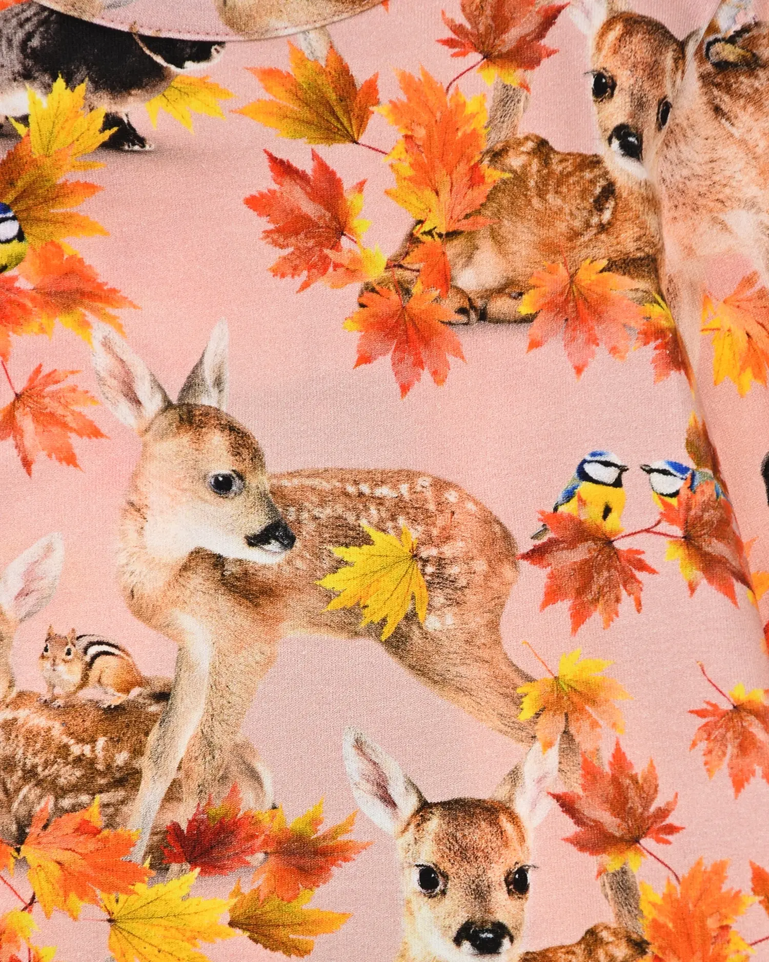 Толстовка Eva "Autumn Fawns" - изображение 3