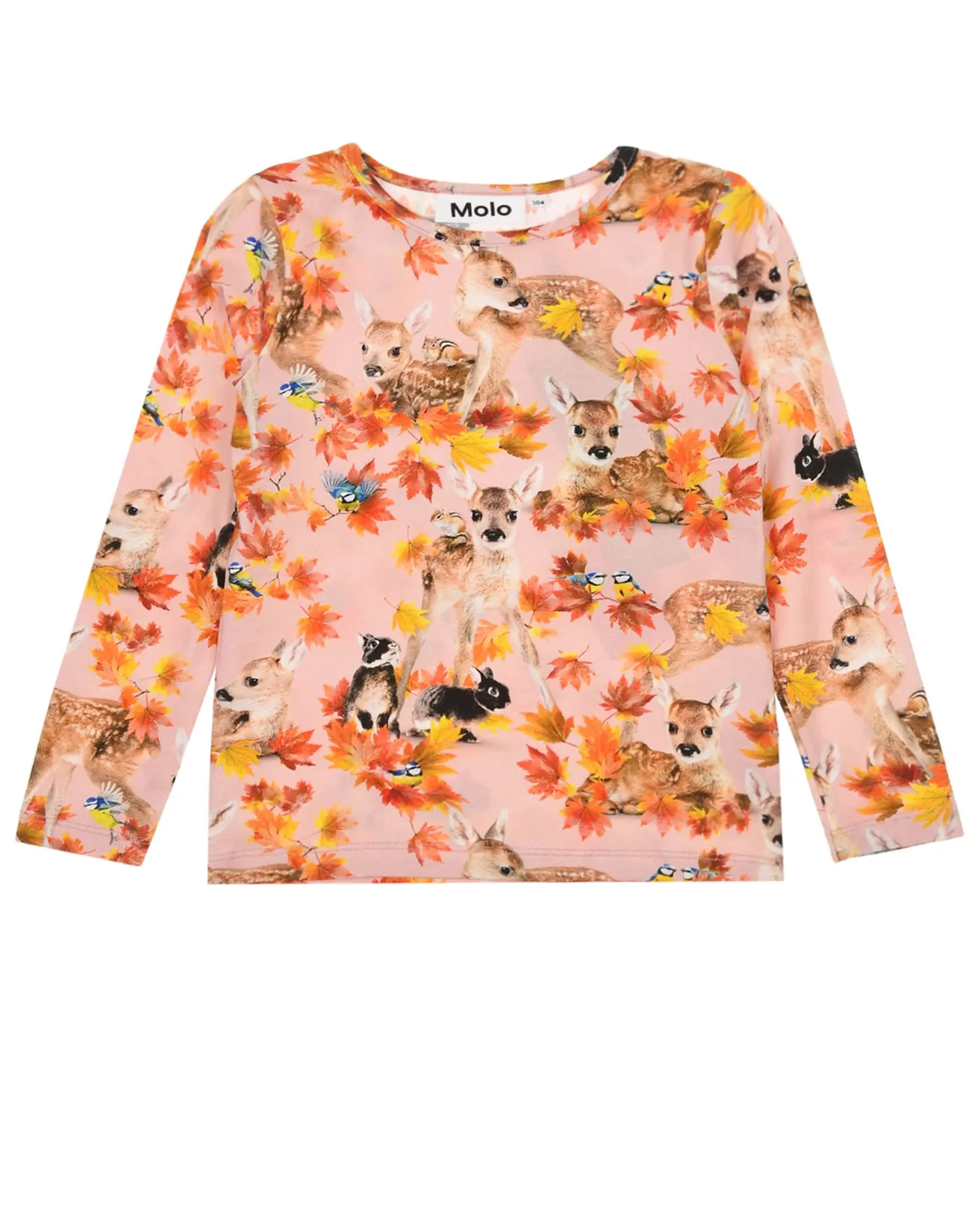 Толстовка Rose Autumn Fawns - изображение 1