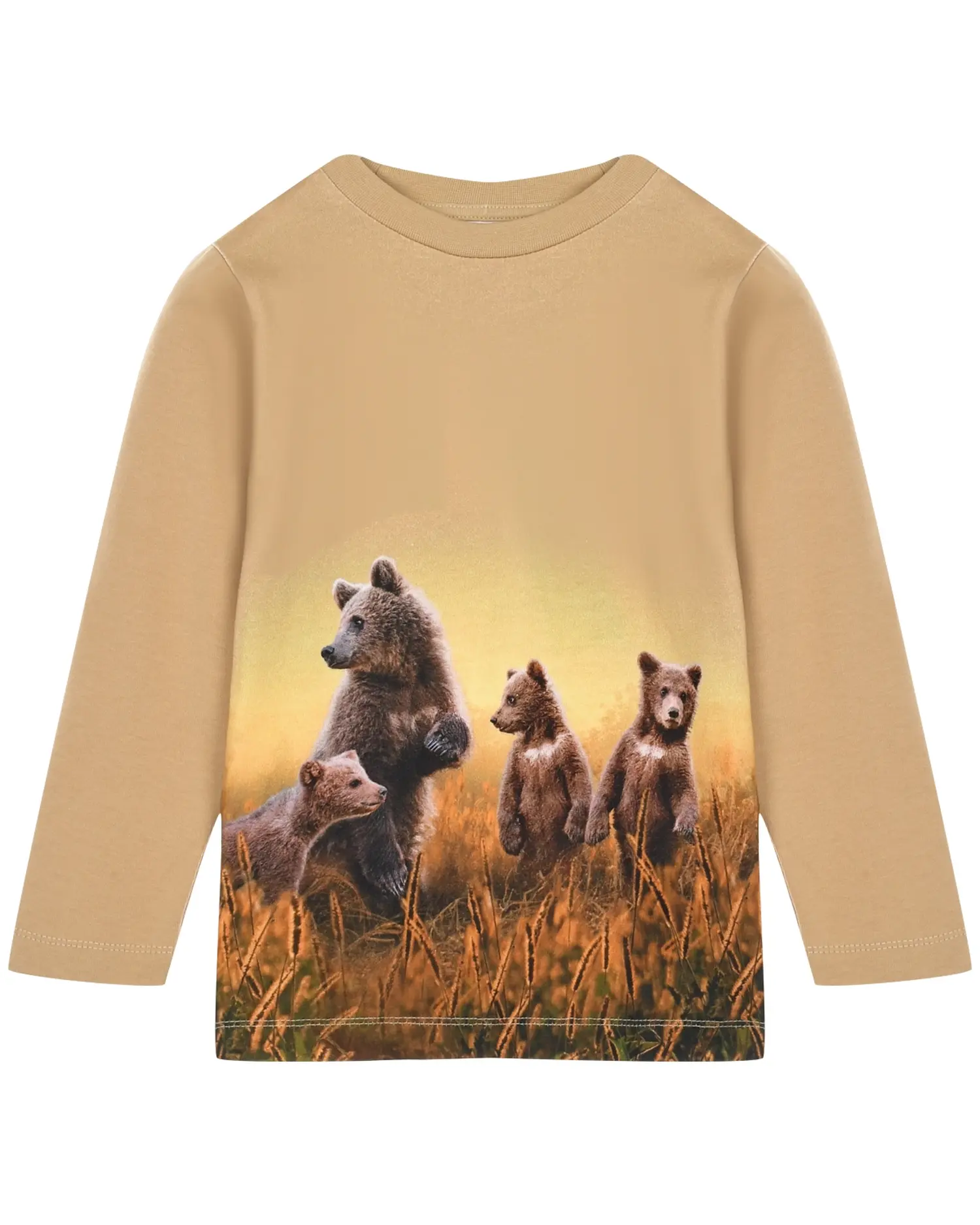 Толстовка Reif Bear Life