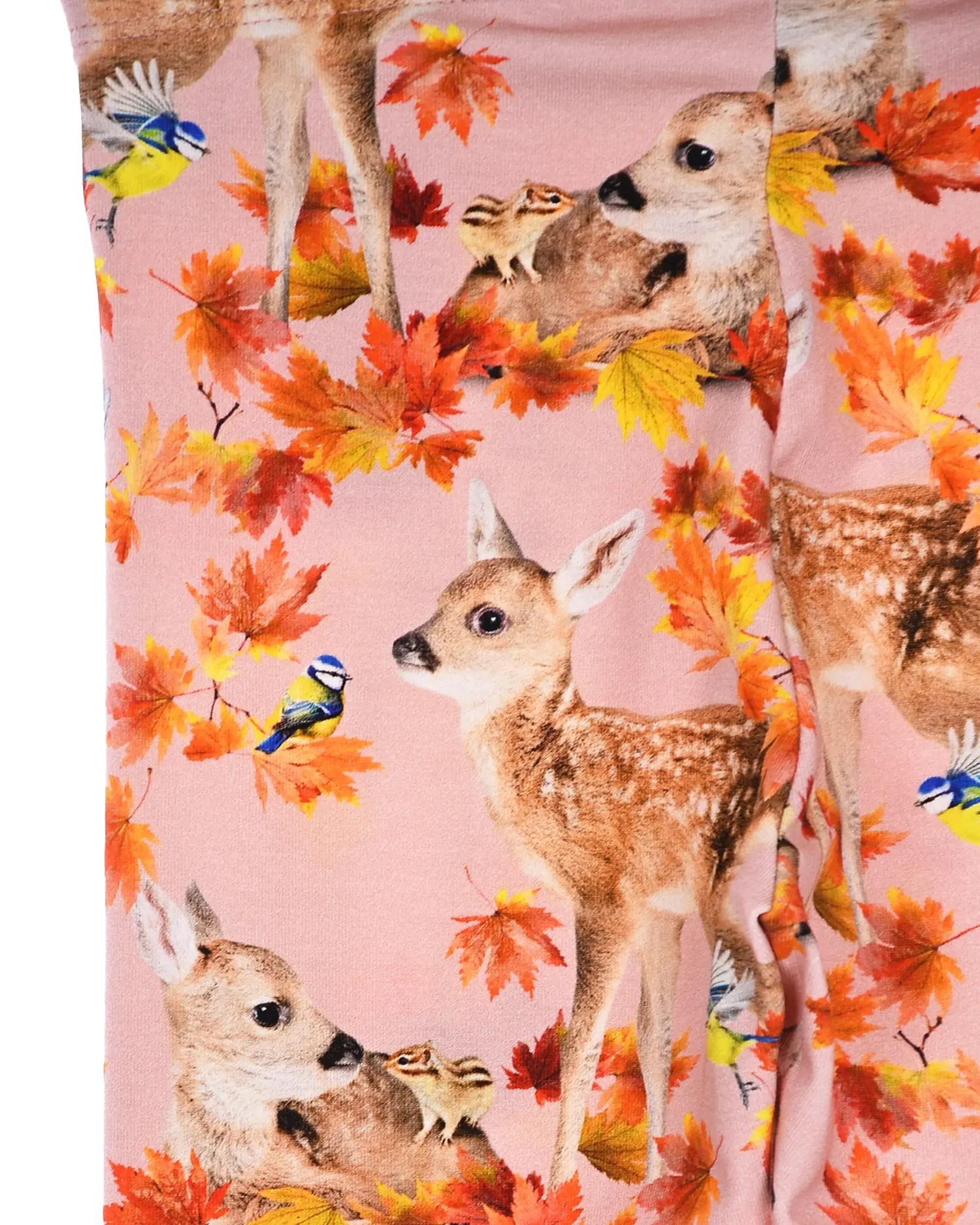 Леггинсы "Autumn Fawn" - изображение 4