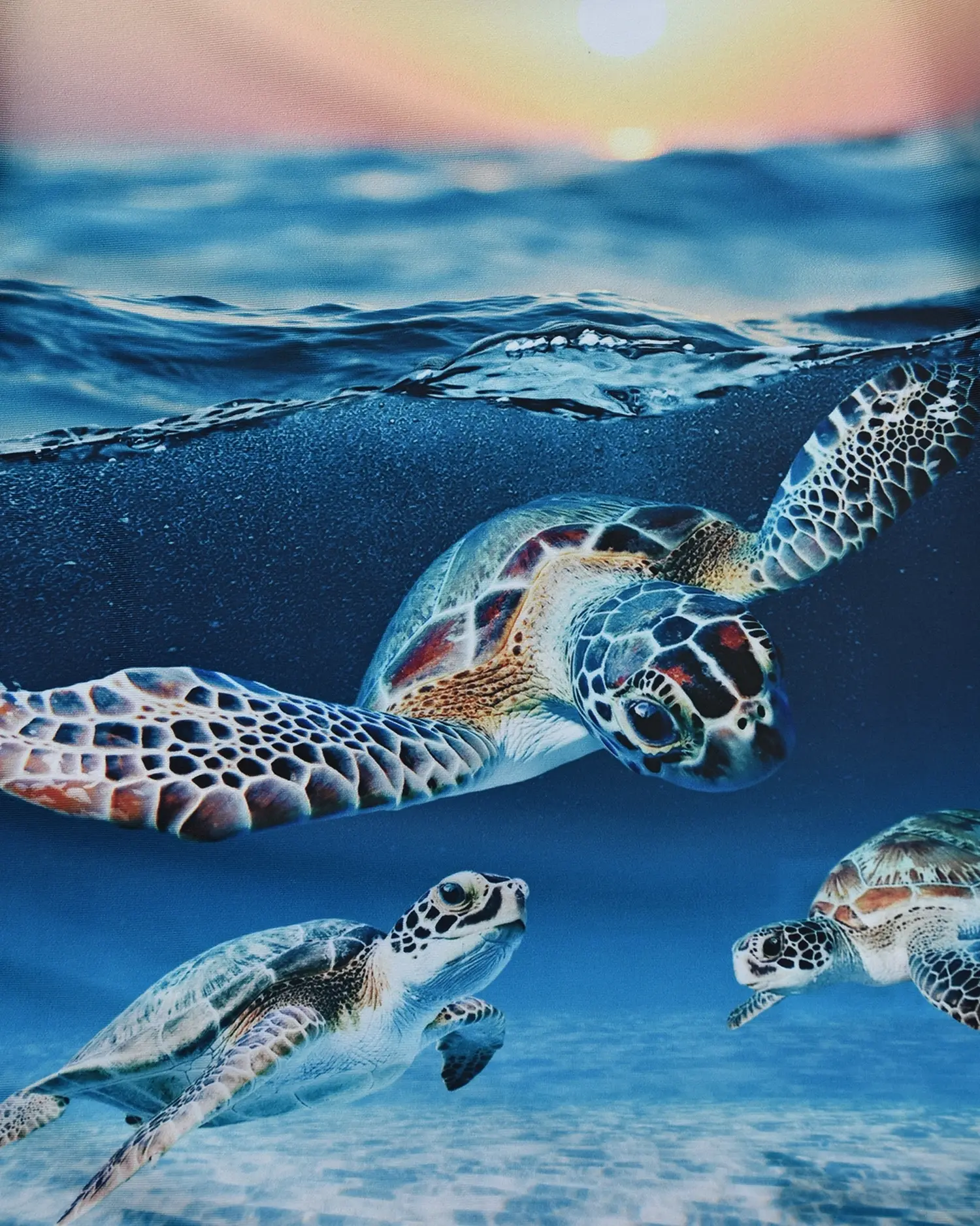 Футболка "Sea Turtle" - изображение 3