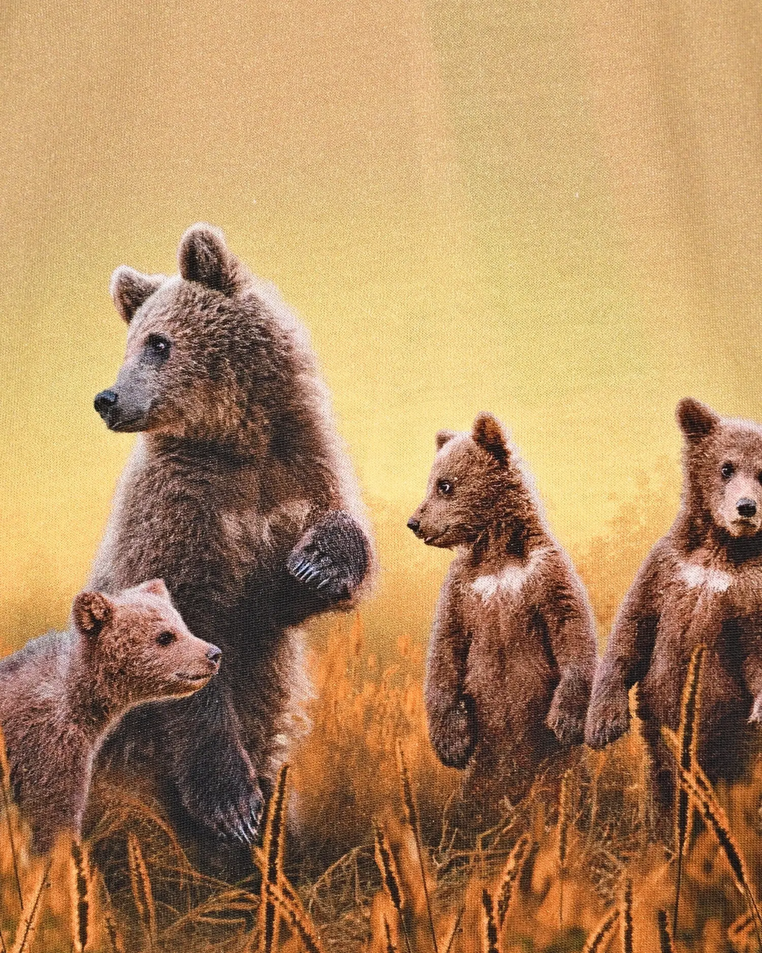 Толстовка Reif Bear Life - изображение 3