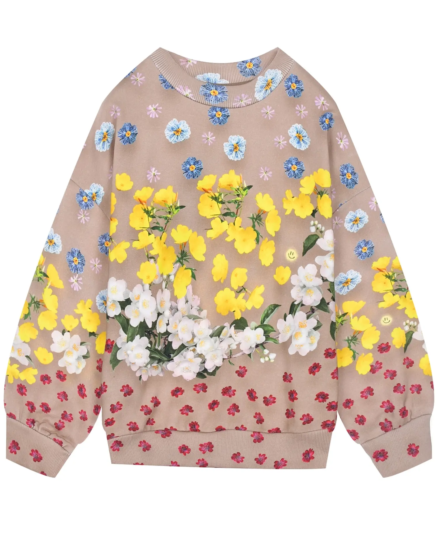 Свитшот Maxi Magical Flowers