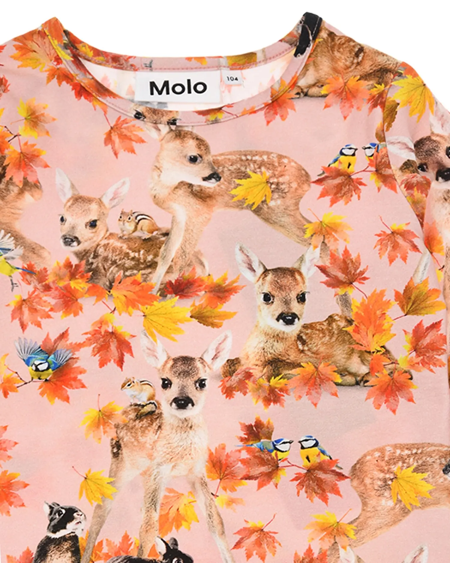 Толстовка Rose Autumn Fawns - изображение 3