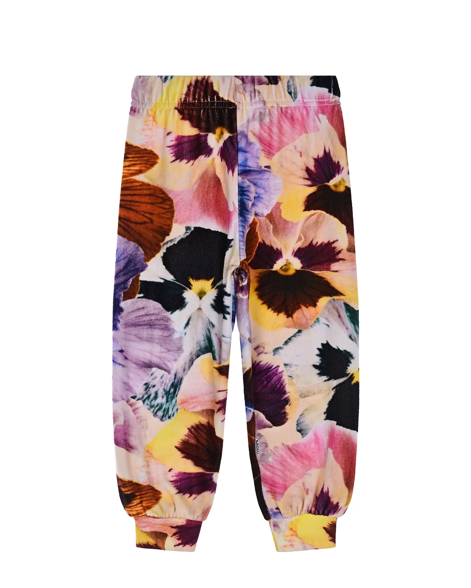 Спортивные брюки Amina "Velvet Floral"