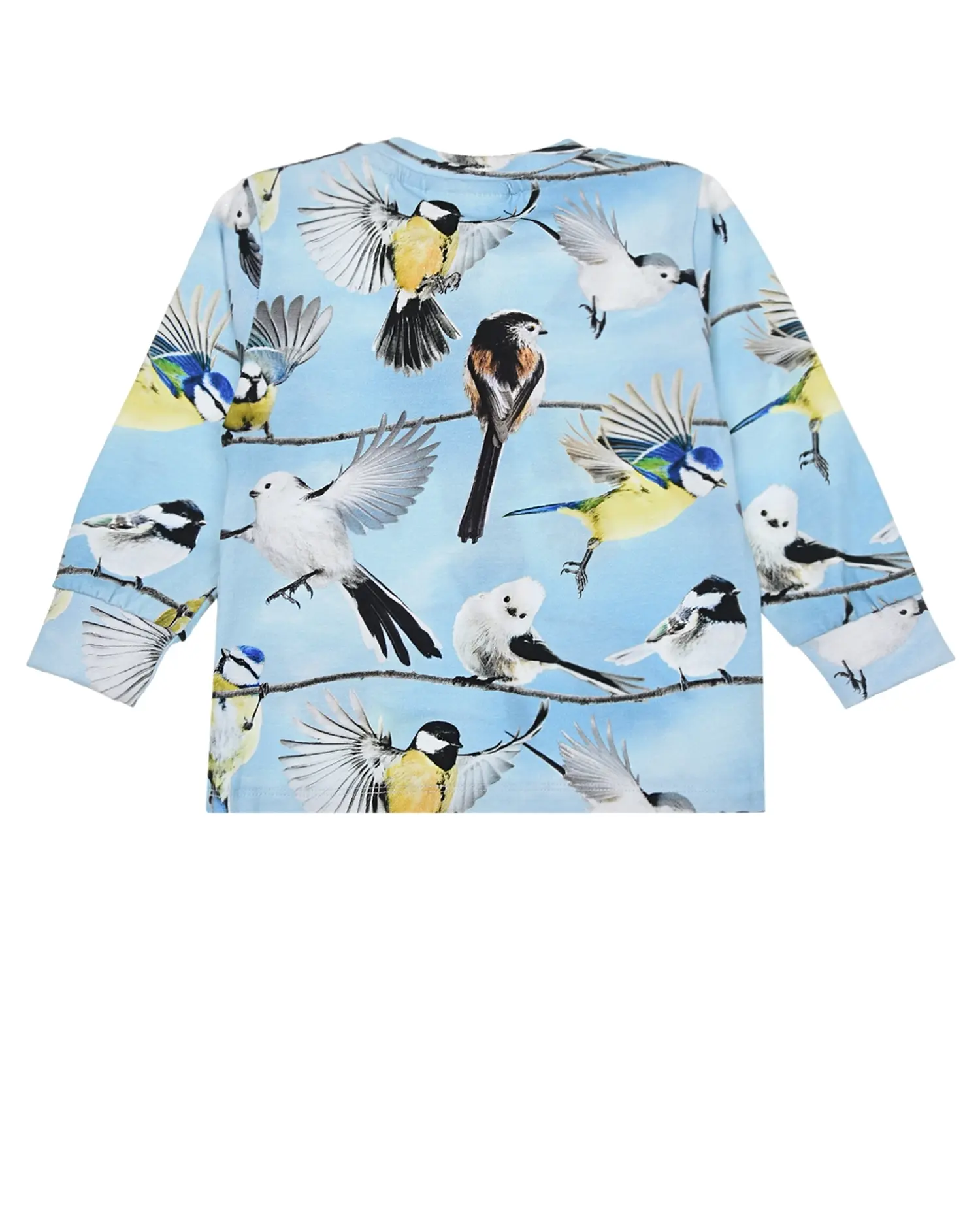 Толстовка Eloy Baby Birds - изображение 2