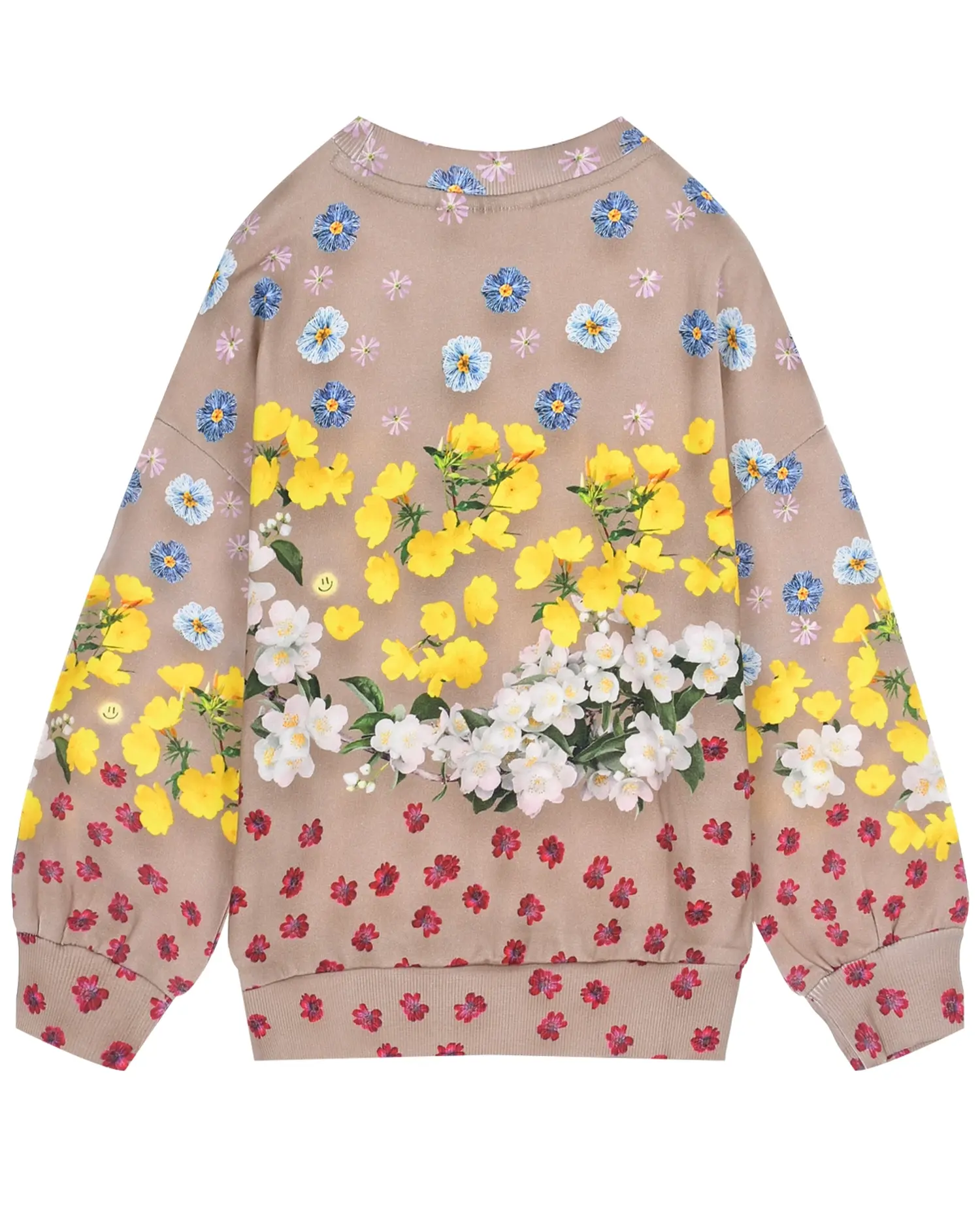 Свитшот Maxi Magical Flowers - изображение 2